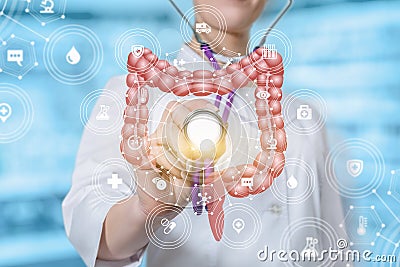 A doctor touching the medical system structure with the intestines model with a stethoscope Stock Photo