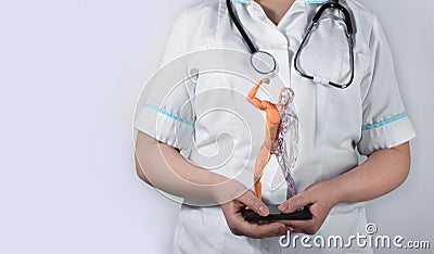 Doctor woman with human anatomical model Stock Photo