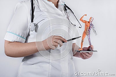 Doctor woman with human anatomical model Stock Photo