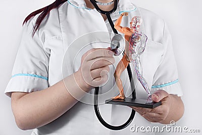 A doctor woman listening a human anatomical model with stethoscope Stock Photo