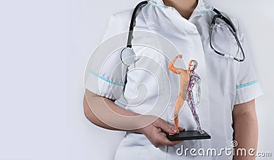 Doctor woman holding a human anatomical model Stock Photo