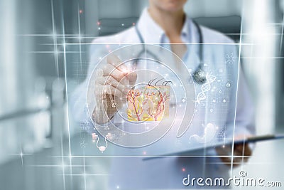 Doctor working with skin anatomy on a virtual computer screen Stock Photo