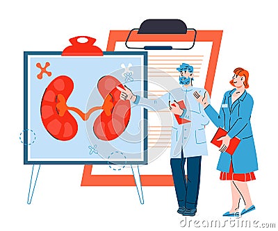 Doctors pointing at banner with image of human kidneys, cartoon vector illustration. Vector Illustration