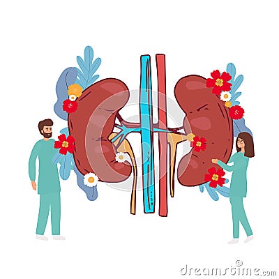 Doctors studying kidneys of donor at clinic. Medical persons checking human organ for surgery flat vector illustration Vector Illustration
