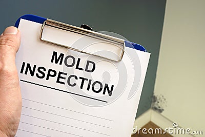 Documents about mold inspection with clipboard Stock Photo