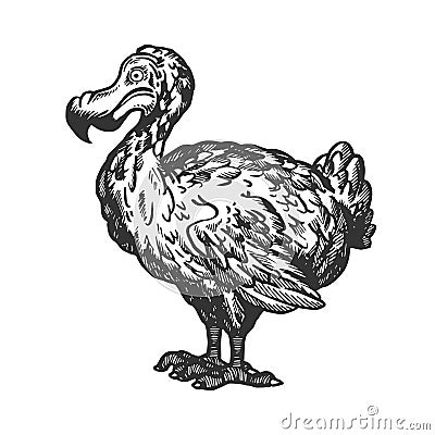 Dodo bird animal engraving vector illustration Vector Illustration