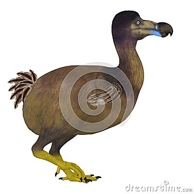Dodo Bird Side Profile Stock Photo