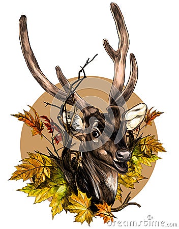 DOE head round composition with tree branch and autumn maple leaves Vector Illustration