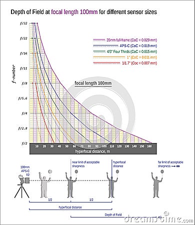 DOF at focal length 100mm for different sensor siz Vector Illustration