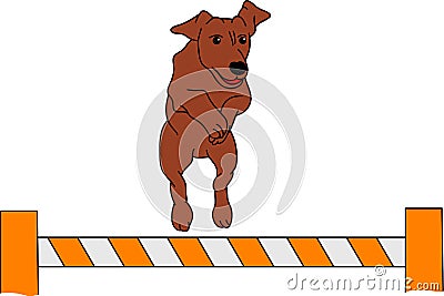 Dog agility Vector Illustration