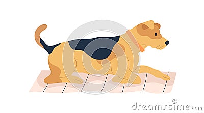 Dog of Airedale Terrier breed lying on mat and resting. Calm doggy relaxing on rug. Canine pet in collar. Cute home Vector Illustration