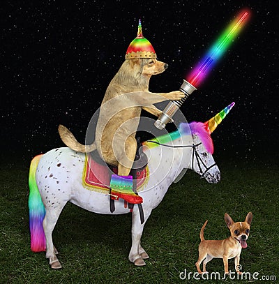 Dog alien rides the unicorn on meadow Stock Photo