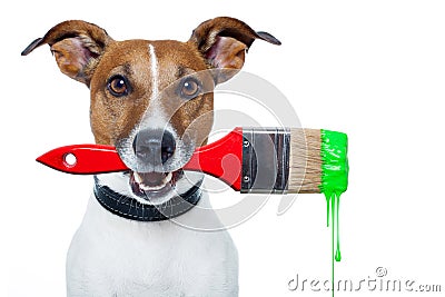 Dog as a painter Stock Photo