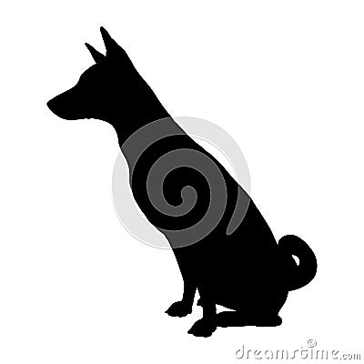 Dog Basenji breed. Silhouette Vector Illustration