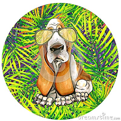 Dog Basset in sunglasses in a round frame. palm leaves. Stock Photo