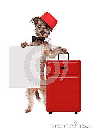 Dog Bellhop With Sign Stock Photo