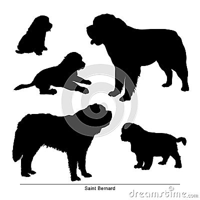 Saint Bernard. the dog is big and small Vector Illustration