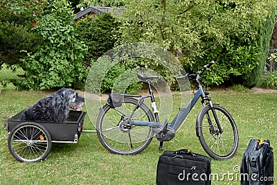 Dog bike trailer Stock Photo