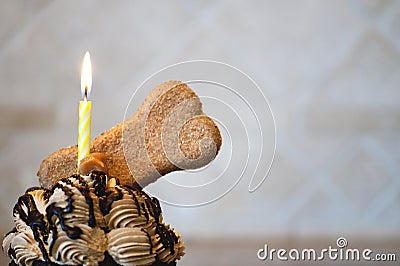 Dog Birthday Cupcake with Lighted Yellow Candle Stock Photo
