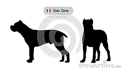 Dog breed Cane Corso Vector Illustration