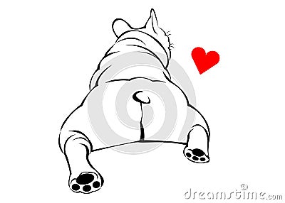 Dog breed cute pet animal bulldog french Vector Illustration