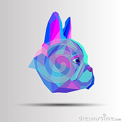 Dog breed cute pet animal bulldog french Vector Illustration