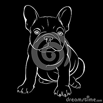 Dog breed cute pet animal bulldog french Vector Illustration