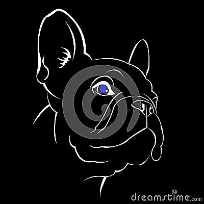 Dog breed cute pet animal bulldog french Vector Illustration