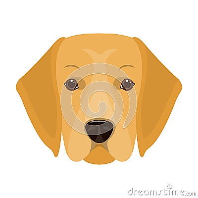 A dog breed, a golden retriever.Muzzle of the Golden Retriever single icon in cartoon style vector symbol stock Vector Illustration