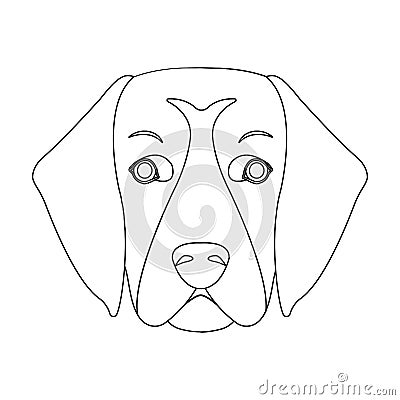 A dog breed, a golden retriever.Muzzle of the Golden Retriever single icon in outline style vector symbol stock Vector Illustration