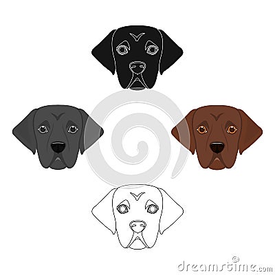 The dog breed is a labrador.Muzzle Labrador Retriever single icon in cartoon,black style vector symbol stock Vector Illustration