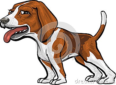 Dog Breeds: Beagle Hound Vector Illustration
