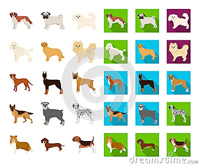 Dog breeds cartoon,flat icons in set collection for design.Dog pet vector symbol stock web illustration. Vector Illustration