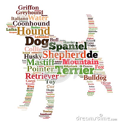 Dog Breeds Stock Photo