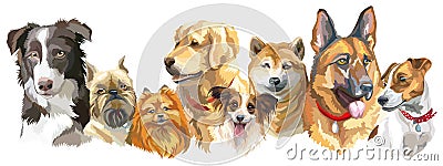 Dog breeds set Vector Illustration