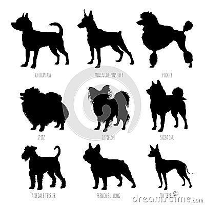 Dog breeds silhouettes set. High detailed, smooth vector illustration Vector Illustration