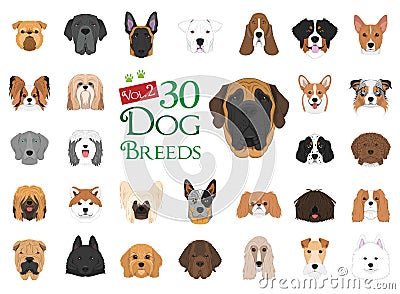 30 different dog breeds in cartoon style Vector Illustration