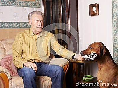 Dog bringing newspaper Stock Photo