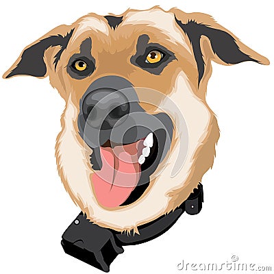 Dog brown pets animals Stock Photo