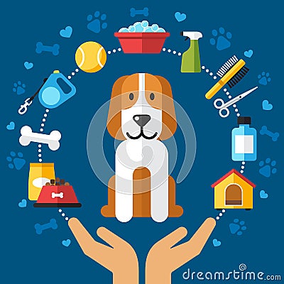 Dog care infographic Vector Illustration