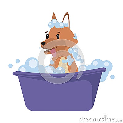 dog cartoon bathing Stock Photo