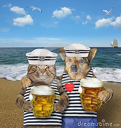 Dog and cat sailors drink beer on beach Stock Photo