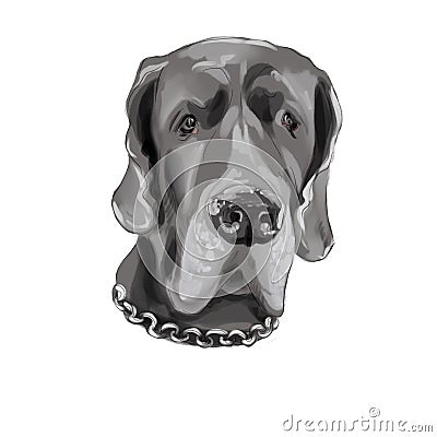 Dog with chain drawing closeup gray purebred Stock Photo