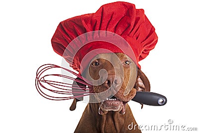 Dog chef with egg beater Stock Photo