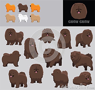 Dog Chow Chow Cartoon Vector Illustration Color Variation Set Chocolate Coat Vector Illustration