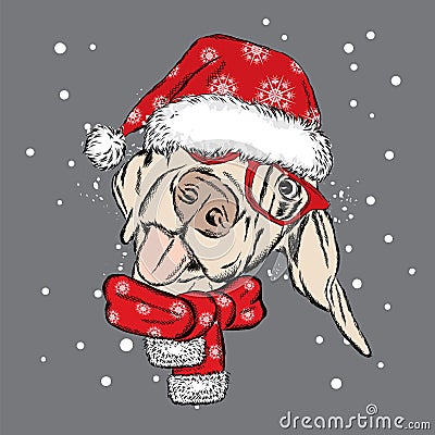 Dog in a Christmas hat and sunglasses. Cute puppy. Pedigree dog. W Vector Illustration