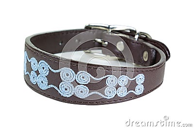 Dog collar Stock Photo