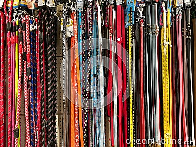 Dog collars Editorial Stock Photo