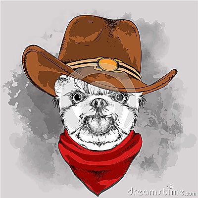 A dog in a cowboy hat. Yorkshire Terrier. Vector illustration Vector Illustration