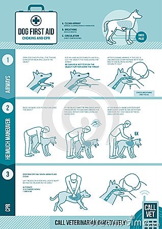 Dog cpr and first aid Vector Illustration